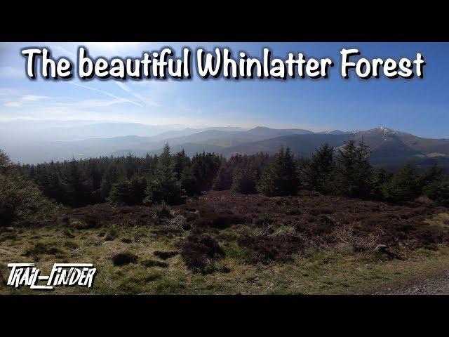 Trail Centre MTB @ Whinlatter Forest