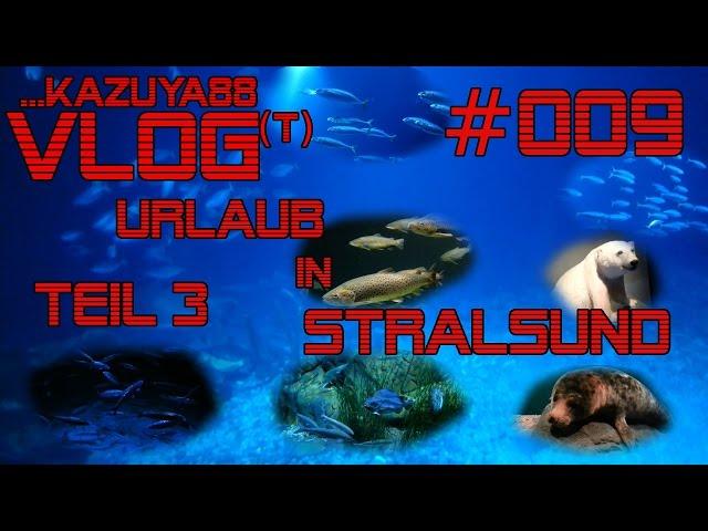 Urlaub in Stralsund - Teil 3 - Besuch im Ozeaneum [Vlog] #009