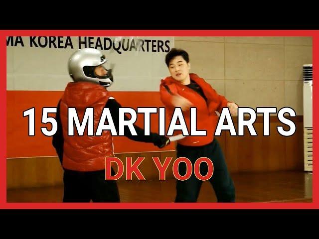 DK Yoo - 15 martial arts