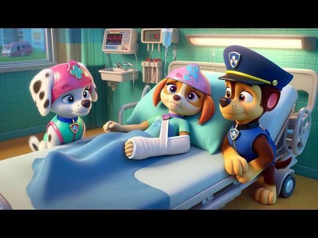 Paw Patrol Ultimate Rescue - SKYE Mermaid Got Sick?! Please Don't Give Up!! Sad Story - Rainbow 3