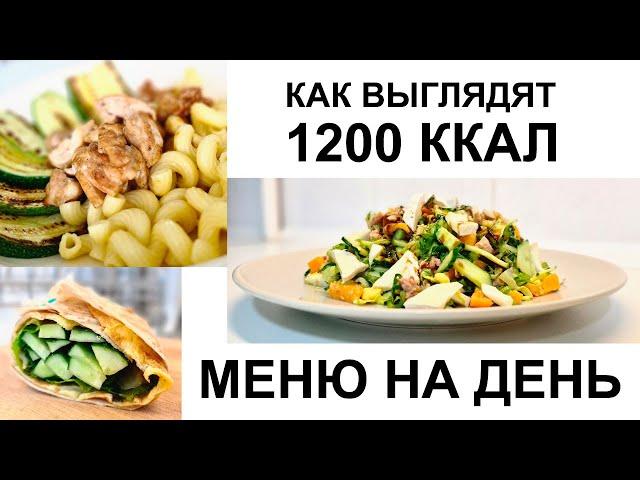 Меню на 1200 ккал в день / Как выглядят 1200 калорий / пример питания на 1200 ккал / ДНЕВНИК ПИТАНИЯ