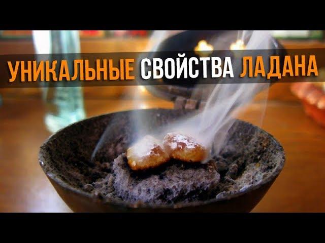 УНИКАЛЬНЫЕ СВОЙСТВА ЛАДАНА о которых мало кто знает!