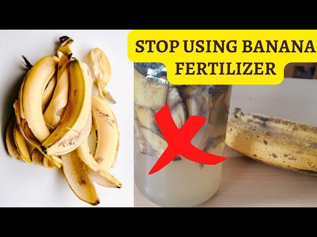 BANANA PEEL FERTILIZER - HARMFUL EFFECTS ON PLANTS