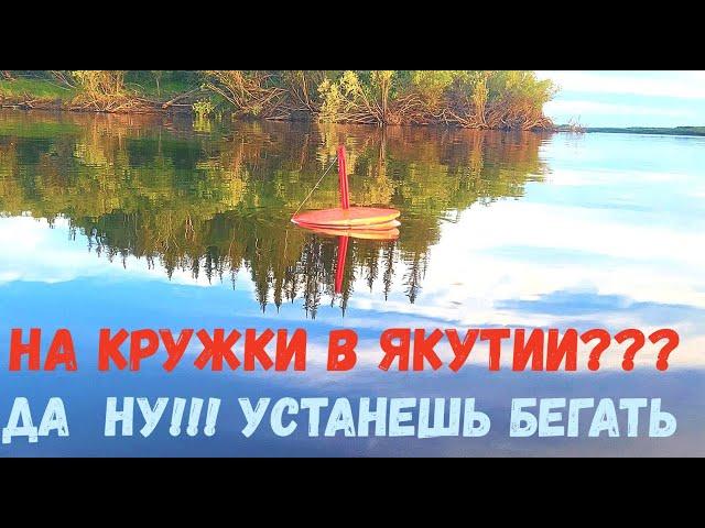 НА КРУЖКИ В ЯКУТИИ ВЫ СЕРЬЕЗНО??? ДА НУ ИХ! УСТАНЕШЬ ПЛАВАТЬ!!!