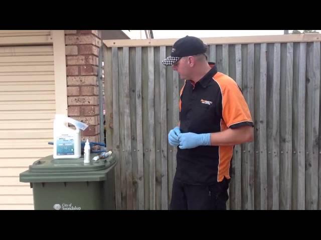 Perth Pest Control Special