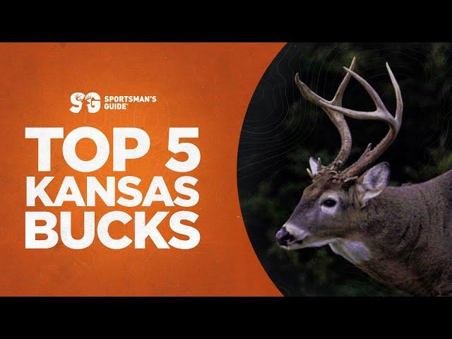 Top 5 Kansas Whitetail Hunts | Monster Bucks Moments Presented by Sportsman's Guide