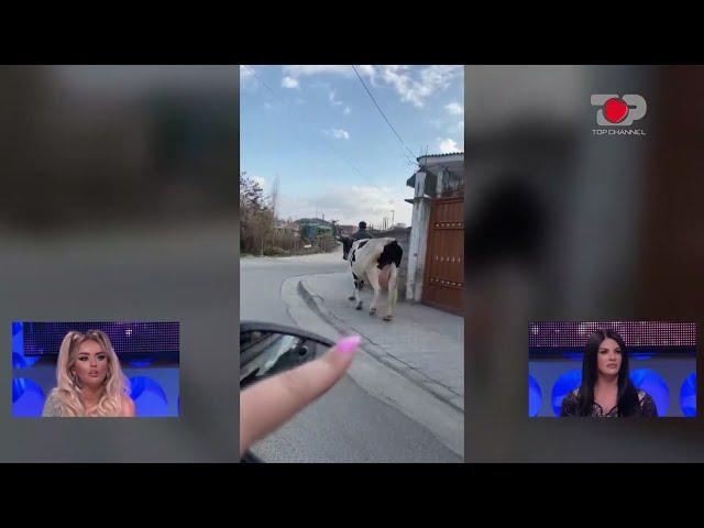 Video e lopës që ecën në rrugë, ofendon vajzat e Për’puthen - Përputhen, 18 Mars 2021