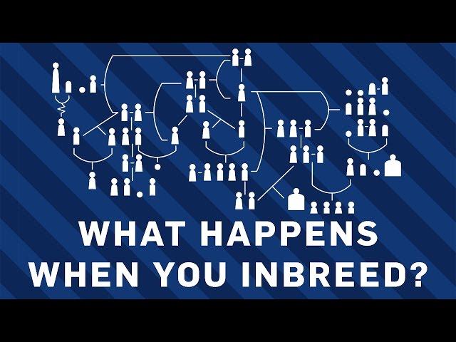 What Happens When You Inbreed? | Earth Science