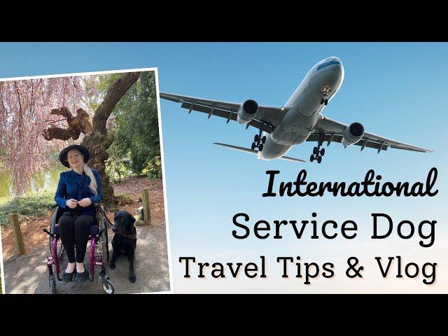 International Service Dog Travel Tips and Vlog