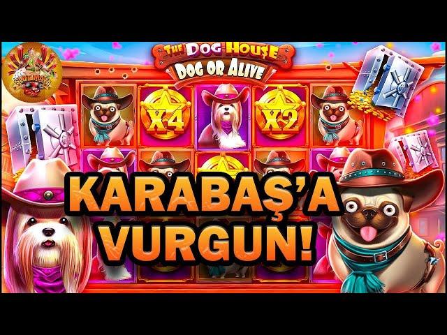 THE DOG HOUSE DOG OR ALİVE | KARABAŞA VURGUN | #casino #slotoyunları #slot #thedoghouse