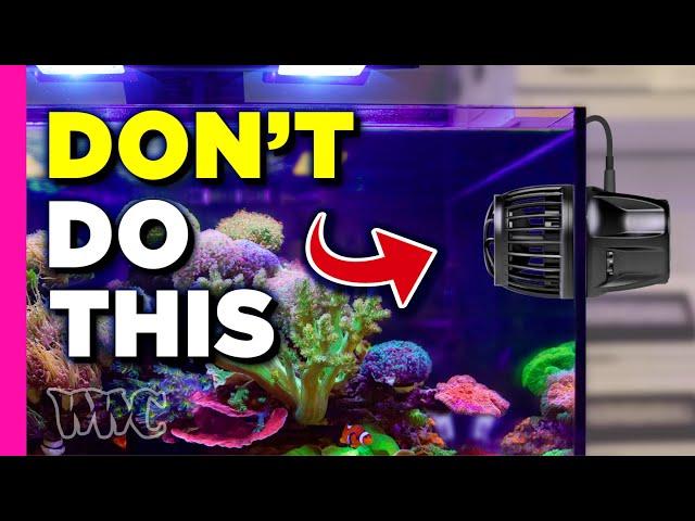 Is Flow KILLING Your Corals?