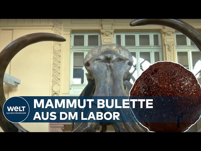 UHRZEIT BULETTE AUS DEM WOLLHAARMAMMUT: Forscher züchten Fleisch im Labor | Die gute Nachricht