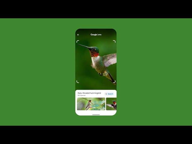 How Google Lens helps you search what you see | Search