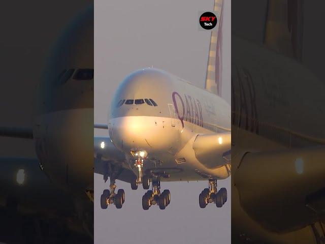 Qatar Airways Landing Closeup | FLY SKY