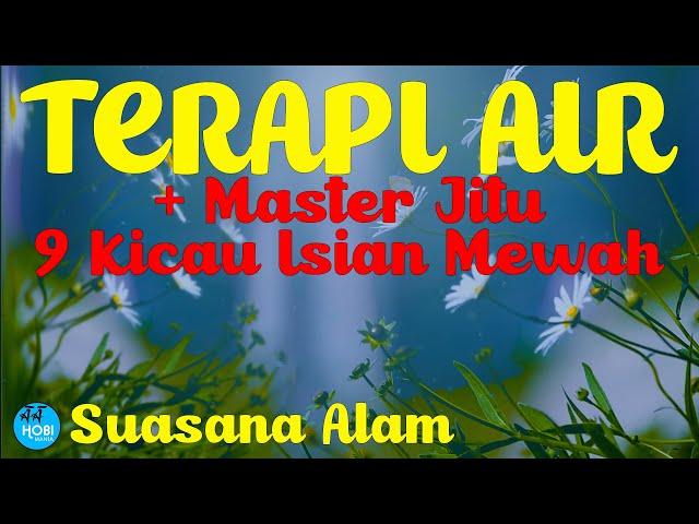 Terapi Air + Master Jitu | Agar burung tidak stres dan termaster 9 materi isian mewah.