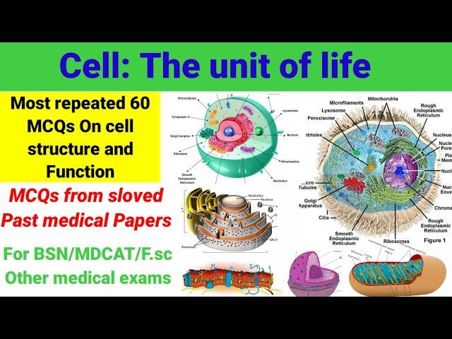 Cell Structure and Function MCQs/ Part=1/60=MCQs  #cellmcqs. #humancellmcqs #mitochondria #nucleus