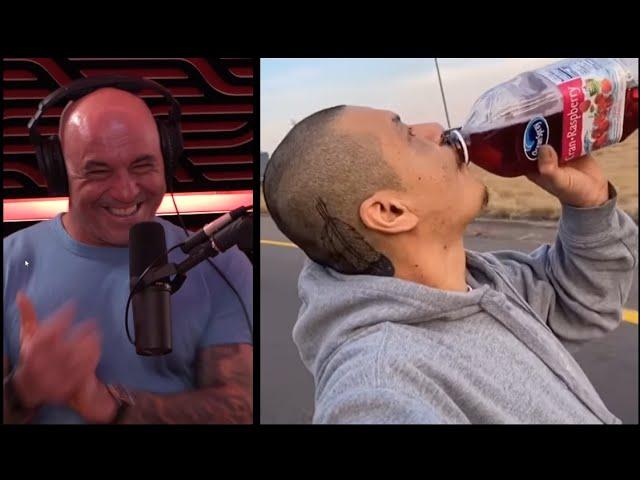 Joe Rogan Experience Clip about Doggface208 On Skateboard Singing Along Fleetwood Mac Viral TikTok.