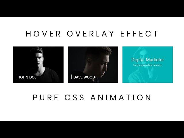 Pure CSS Image Overlay Effect | CSS Image Hover Effects