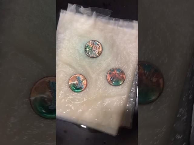 Green Penny Experiment #stemactivity #kidsexperiments #kidsshow #scienceforkids