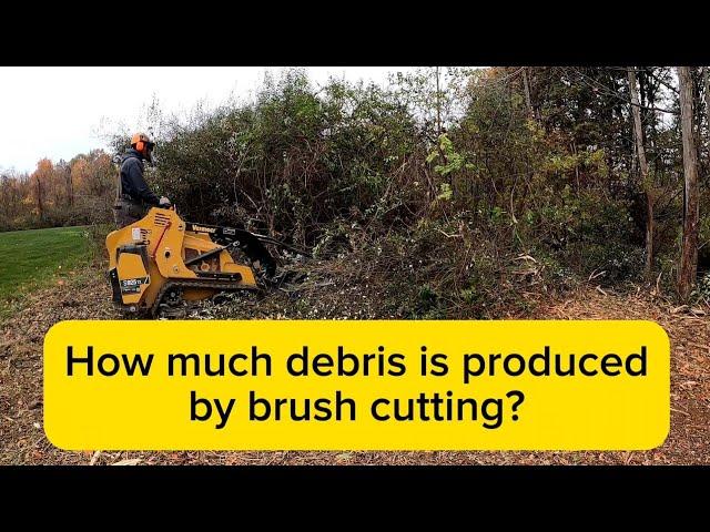 Brush Mulching- How Much Debris Is Produced?