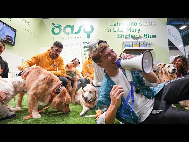 Oasy a QuattrozampeinFiera Torino con Filippo Capriotti e tantissimi cani!