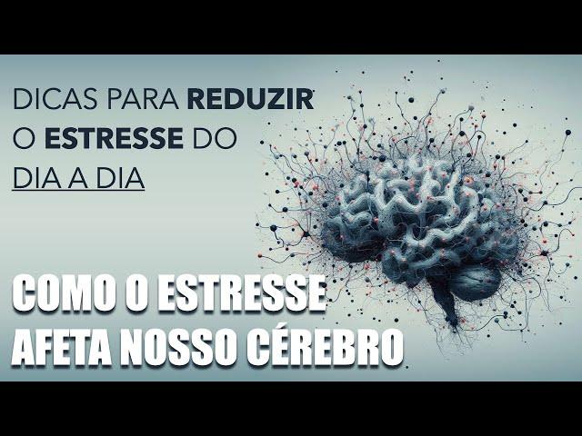Como o cérebro responde ao estresse