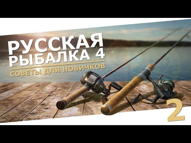 РУССКАЯ РЫБАЛКА 4 - Советы для новичков, как играть в 2024 / Стрим 2