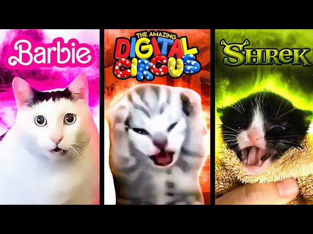 Meme Cats but Meme Music