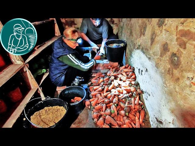 How to store carrots when storing using the Gordeev technology in sand in bricks in a cellar