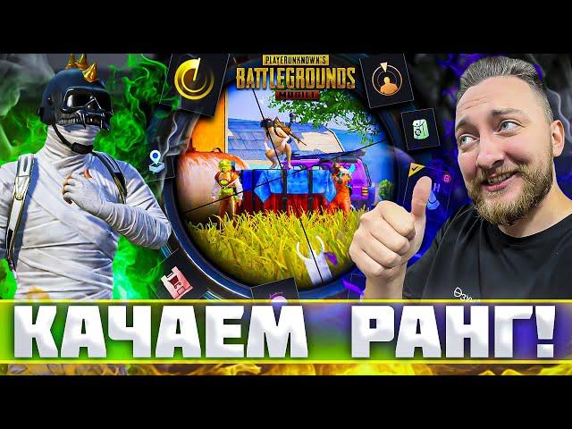 КАЧАЕМ РАНГ И КД! СТРИМ ПО PUBG MOBILE!