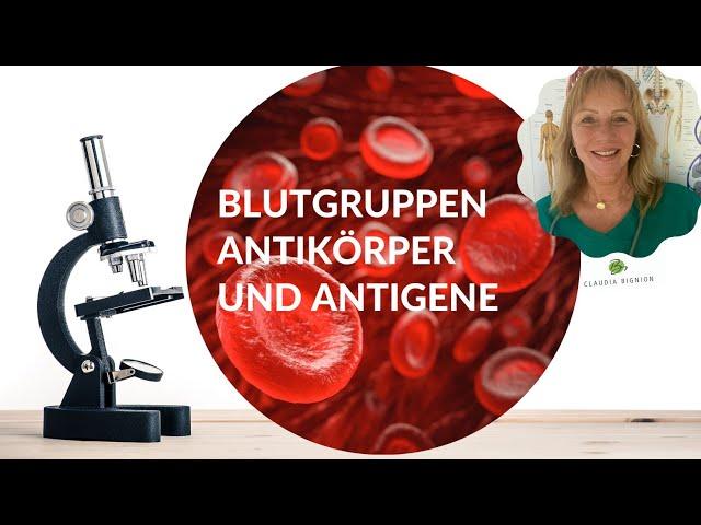 Blutgruppen-Antikörper und -Antigene (Teil 1 - Basiswissen)