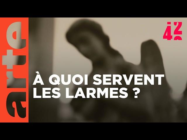 Pourquoi pleurons-nous ? |  42 - La réponse à presque tout | ARTE