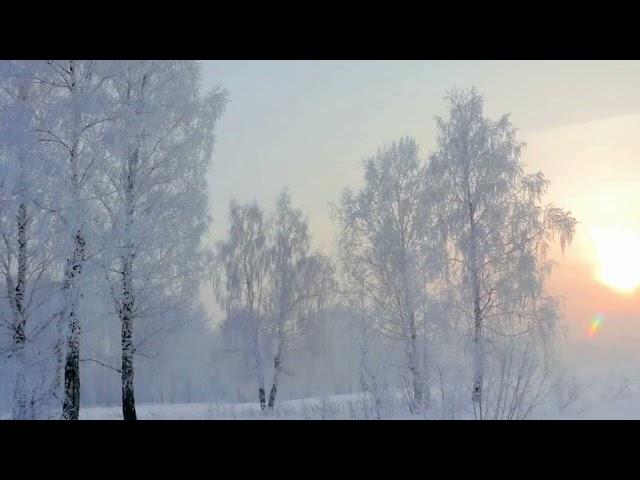 Николай Митрофанов. Романтический вечер. Музыка и исполнение Александр Бойков