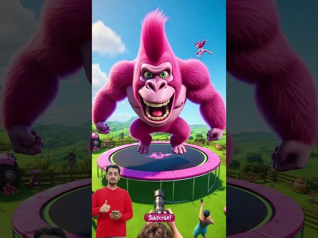 ️ Evolution of MLP : Pinkie Pie King Kong On Trampoline 