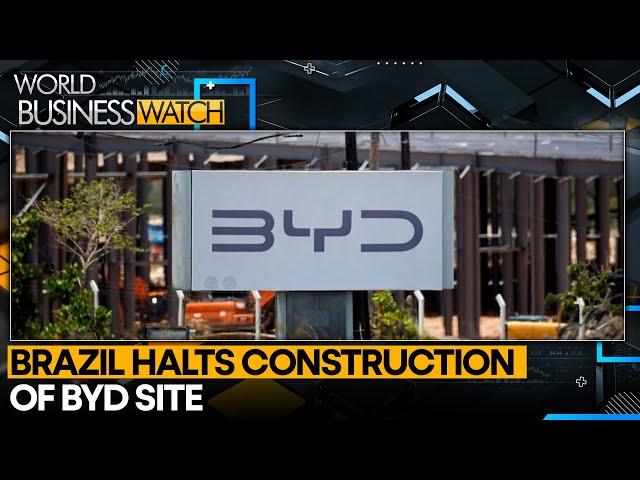 Brazil Halts BYD Site After Workers Found In 'Slave' Conditions | World Business Watch | WION News