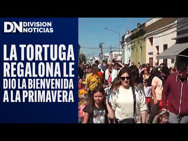 La TORTUGA REGALONA le DIO la BIENVENIDA a la PRIMAVERA - DIVISIÓN NOTICIAS