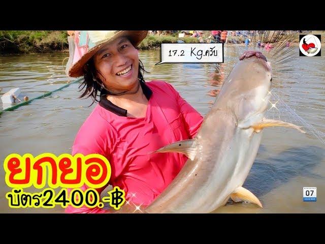 ยกยอ บัตร2,400.-บาท   ►Fishing lifestyle Ep.376