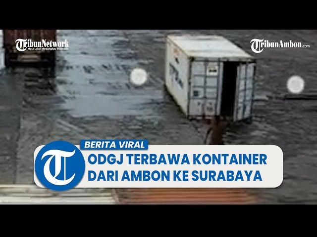 Viral Video ODGJ Asal Maluku Terbawa Kontainer Dari Ambon ke Surabaya