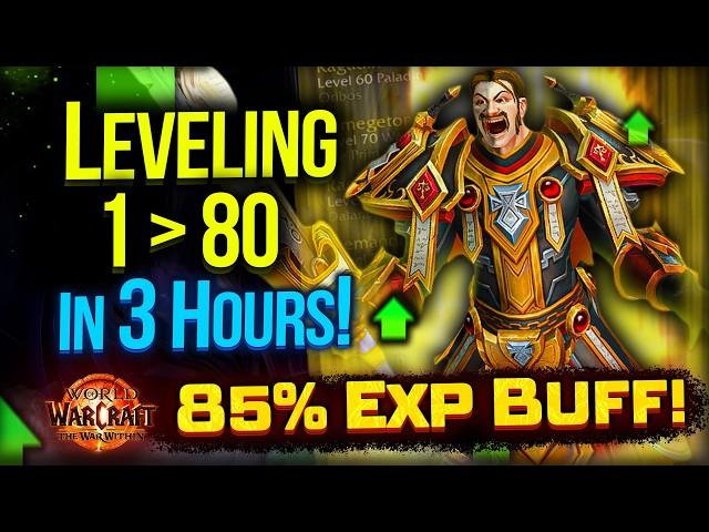 Insane! From 1 To 80 level In 3 HOURS! 85% BONUS EXP! Hurry UP | The War Within Leveling Guide