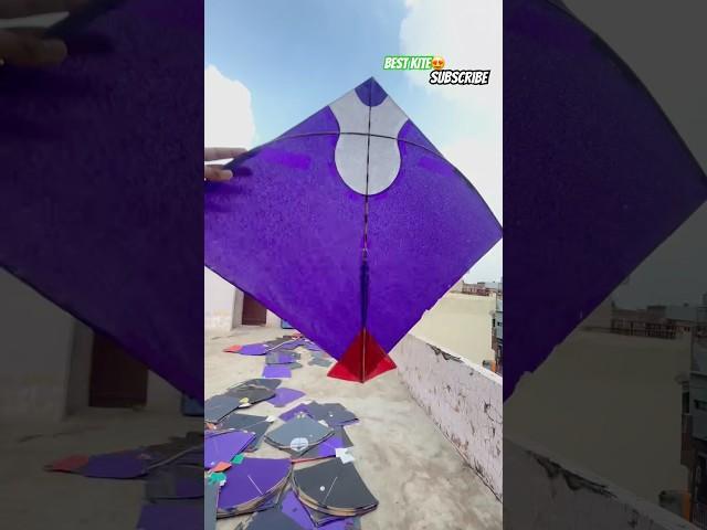 BEST KITE  🪁 #kitelover #kitefestival #kiteflying #ytshorts #shorts #shortsfeed #bestkite