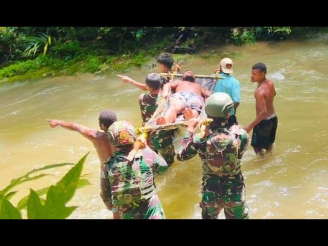 Babi Hutan Menyerang Warga, Prajurit 501 Sigap Lakukan Evakuasi