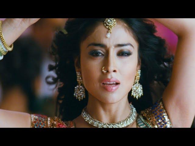 Shriya Saran Latest Song || 2017