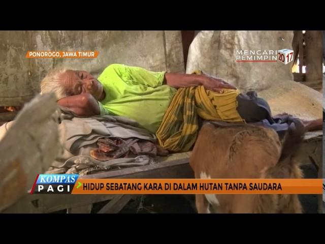 Kisah Nenek Hidup Sendirian di Kandang Kambing