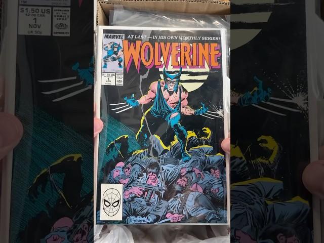 I Bought 100 Wolverine Comics From Goodwill