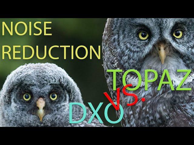 MUST WATCH DENOISE METHOD  |  Topaz Denoise AI VS. DXO Pure Raw