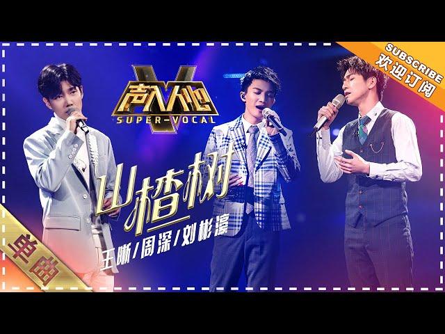 [Super Vocal] Wang Xi, Zhou Shen, Liu Binhao - "Hawthorn Tree": Fall in love with beautiful voices