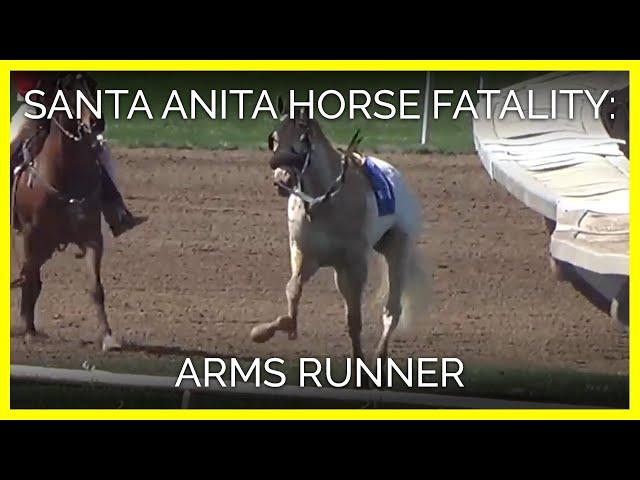 Horse fatality at Santa Anita - Arms Runner March 31, 2019