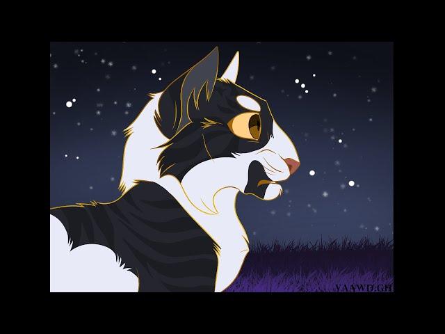 The Accident-Swiftpaw (Warrior Cats)