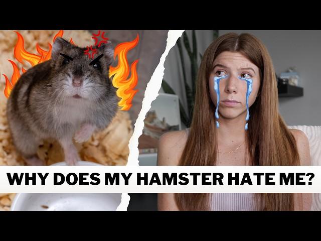 Does your Hamster Hate You?