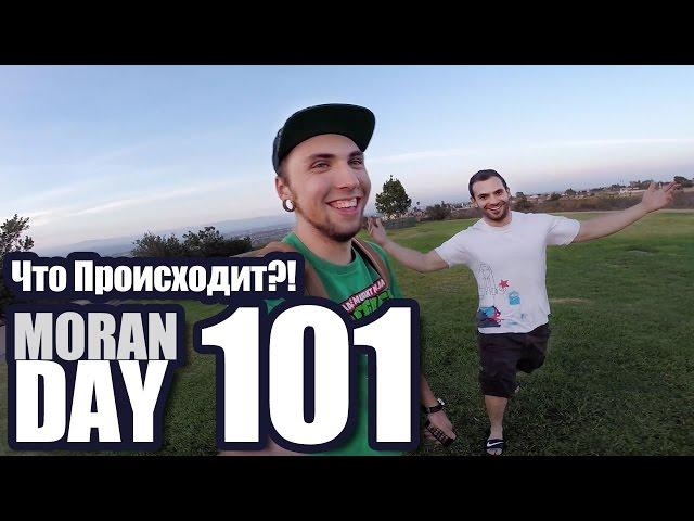 Moran Day 101 - Что Происходит?